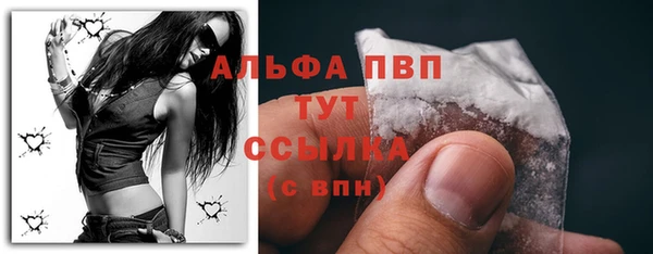 стаф Балахна