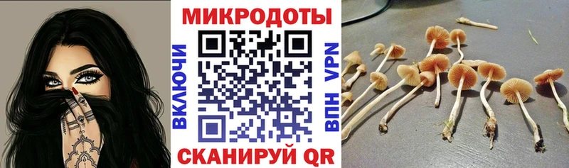 Псилоцибиновые грибы MAGIC MUSHROOMS  Новозыбков 