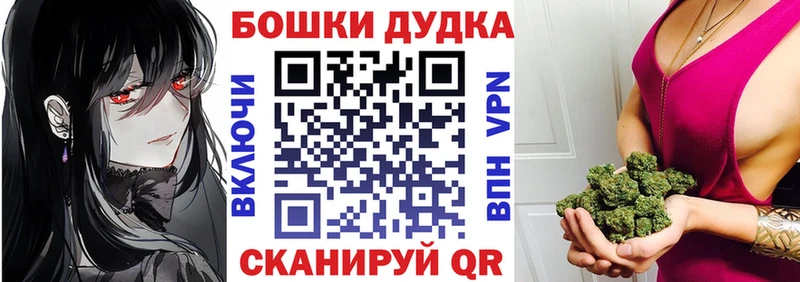 Бошки Шишки марихуана  магазин продажи   Новозыбков 